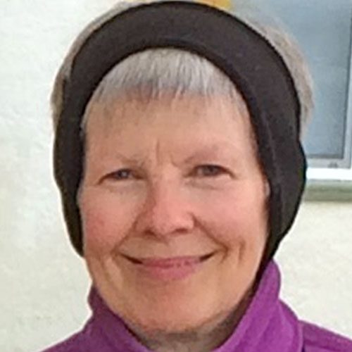 Lonnie Facchina Board Chair